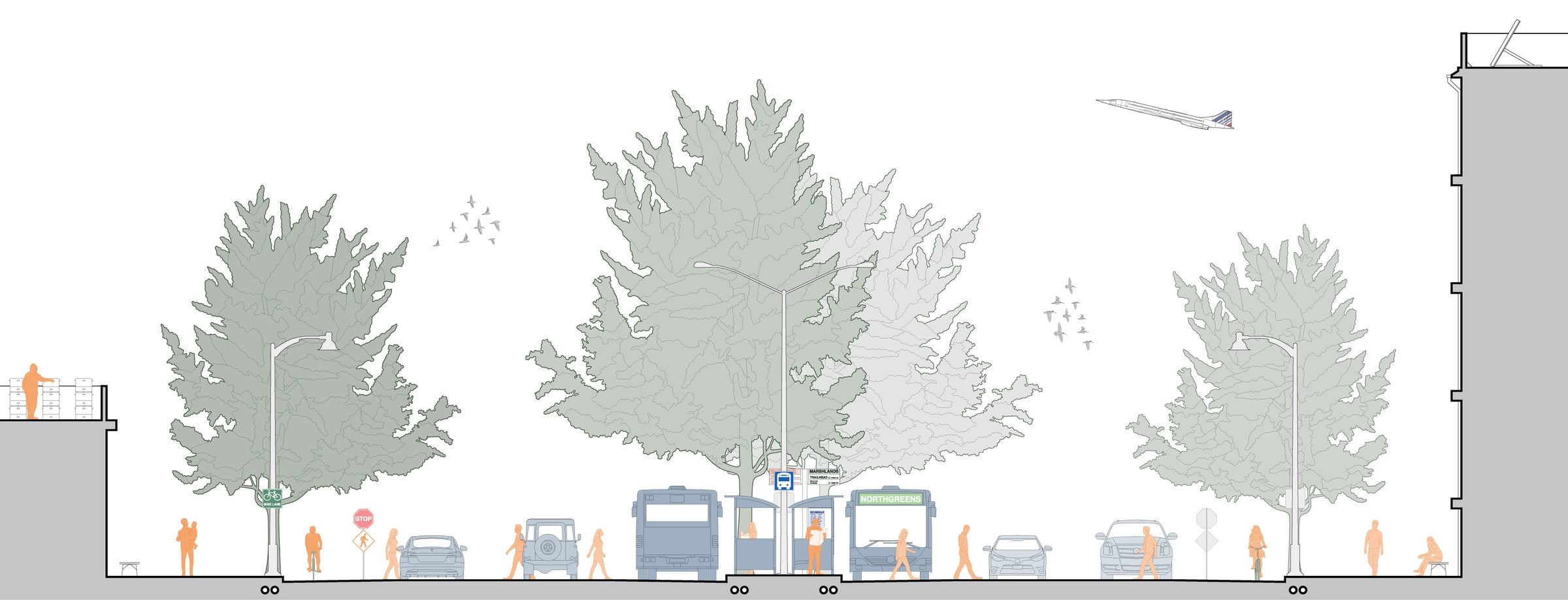 Boulevards: Primary Roads